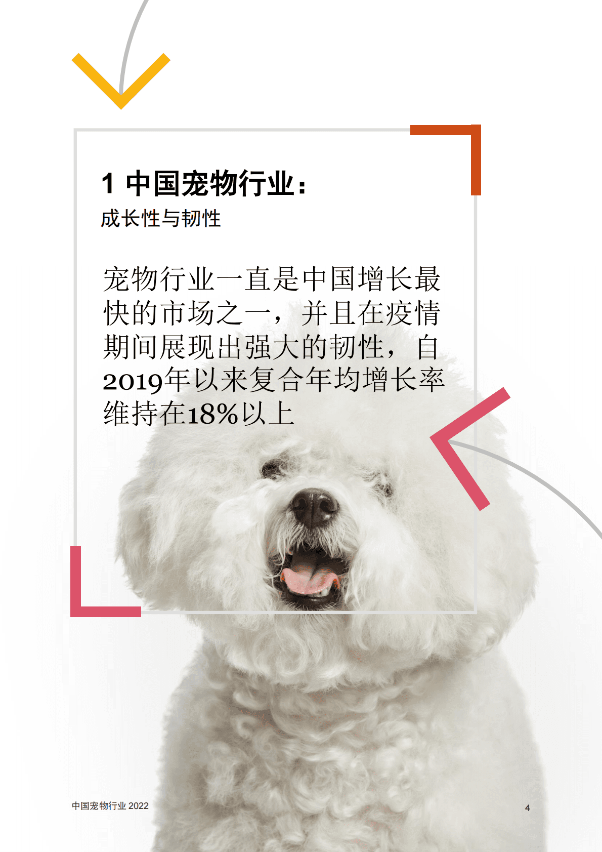 普华永道：中国宠物行业：2022年更新版 第5页