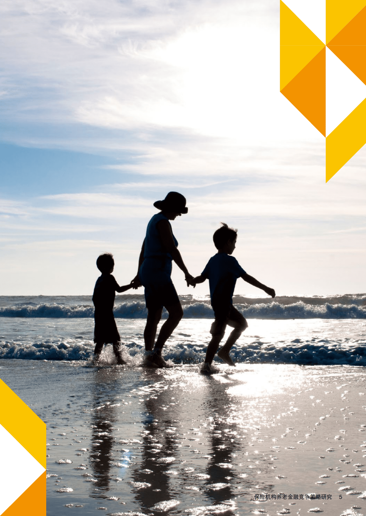 普华永道：保险机构养老金融竞争策略研究报告2022 第5页