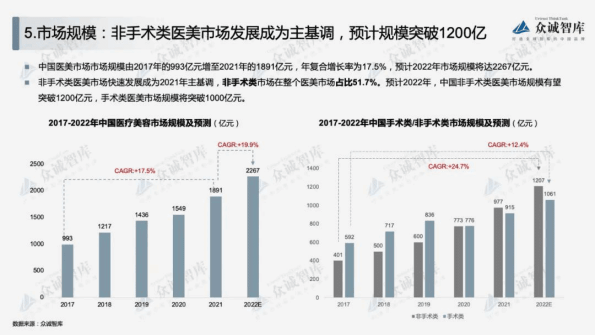 众诚智库：2022年中国医疗美容行业短报告 第6页