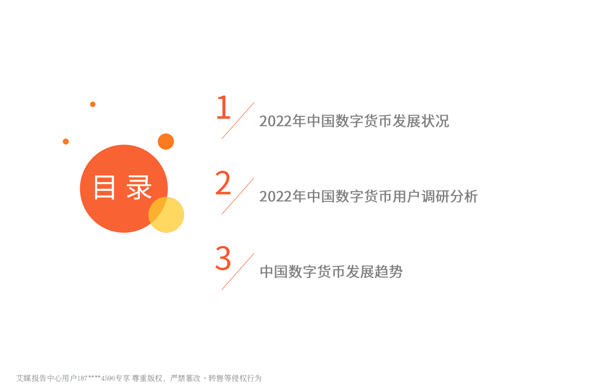 艾媒咨询：2022年中国数字货币发展研究报告 第3页