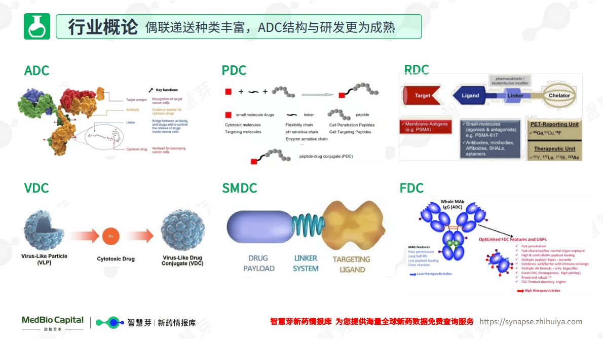 劢柏资本智慧芽：药物递送-偶联靶向递送药物行业研究报告2022 第5页