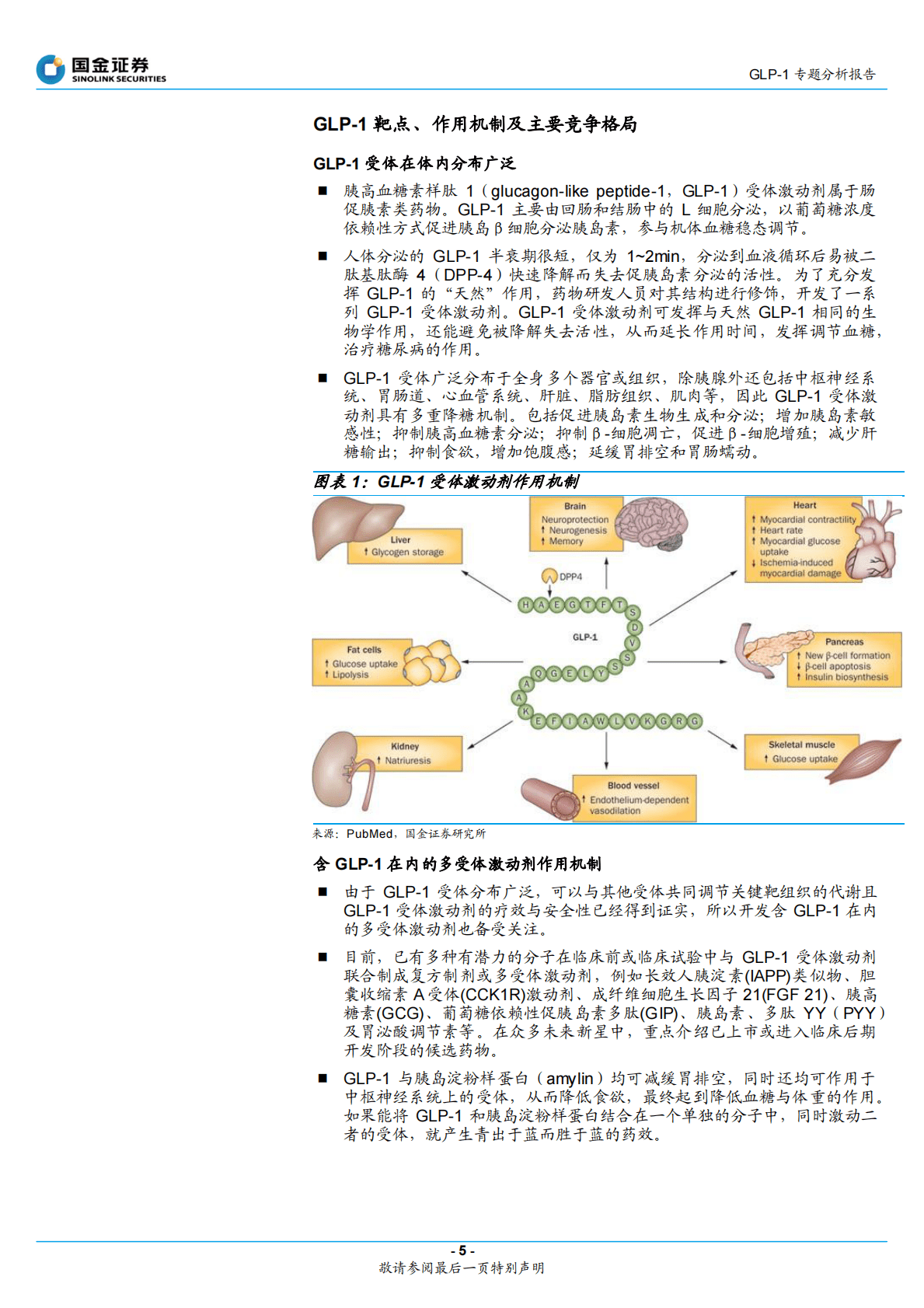 GLP-1专题分析报告：从强效降糖药到神奇减肥药：GLP-1风云再起 第5页