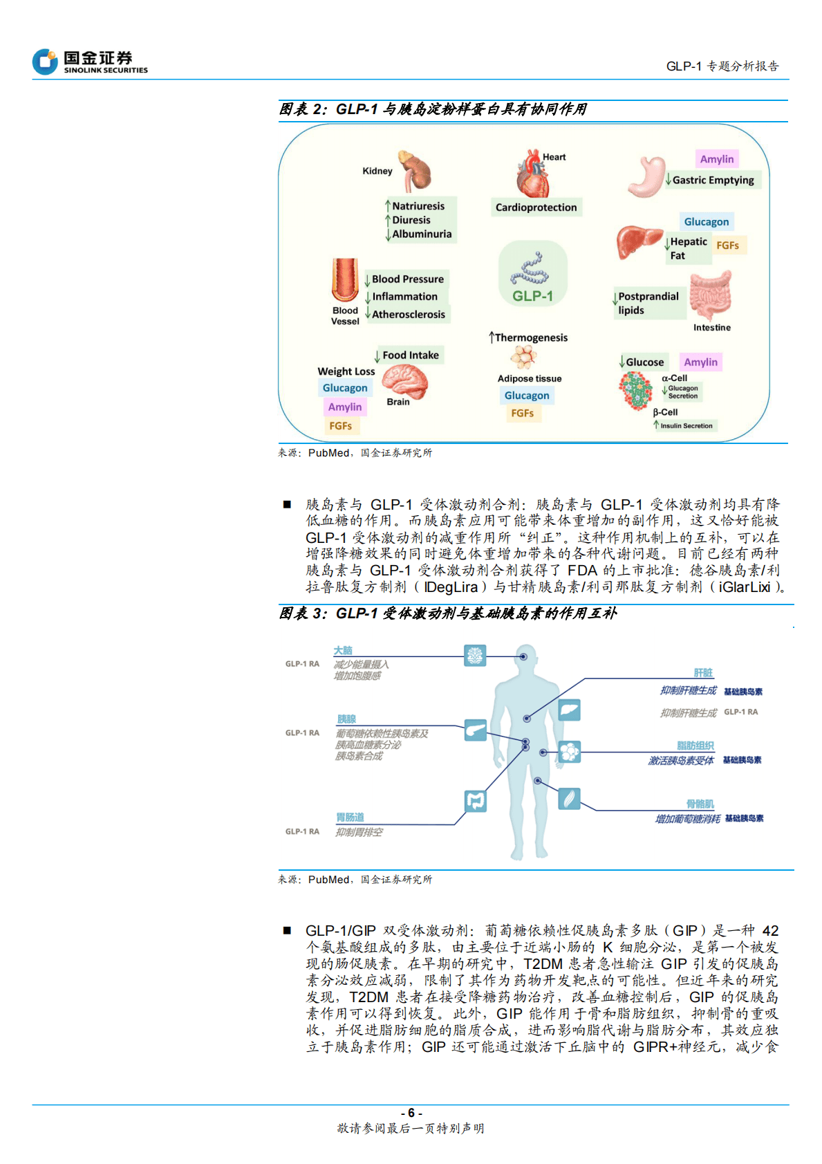 GLP-1专题分析报告：从强效降糖药到神奇减肥药：GLP-1风云再起 第6页