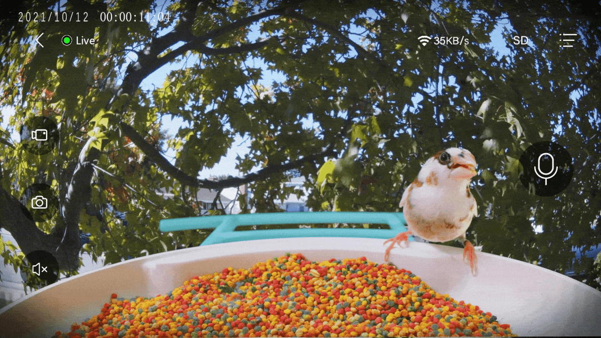 亚马逊：Events & KVS 构建家庭智能视觉应用 第5页