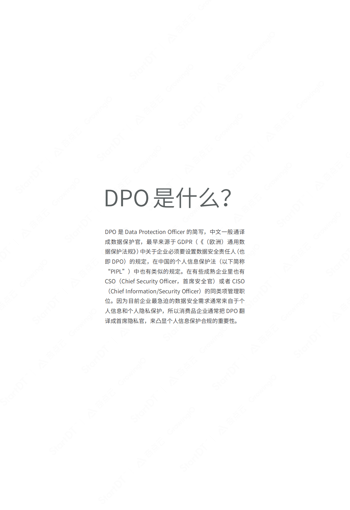 StartDT：DPO数据安全白皮书 第3页