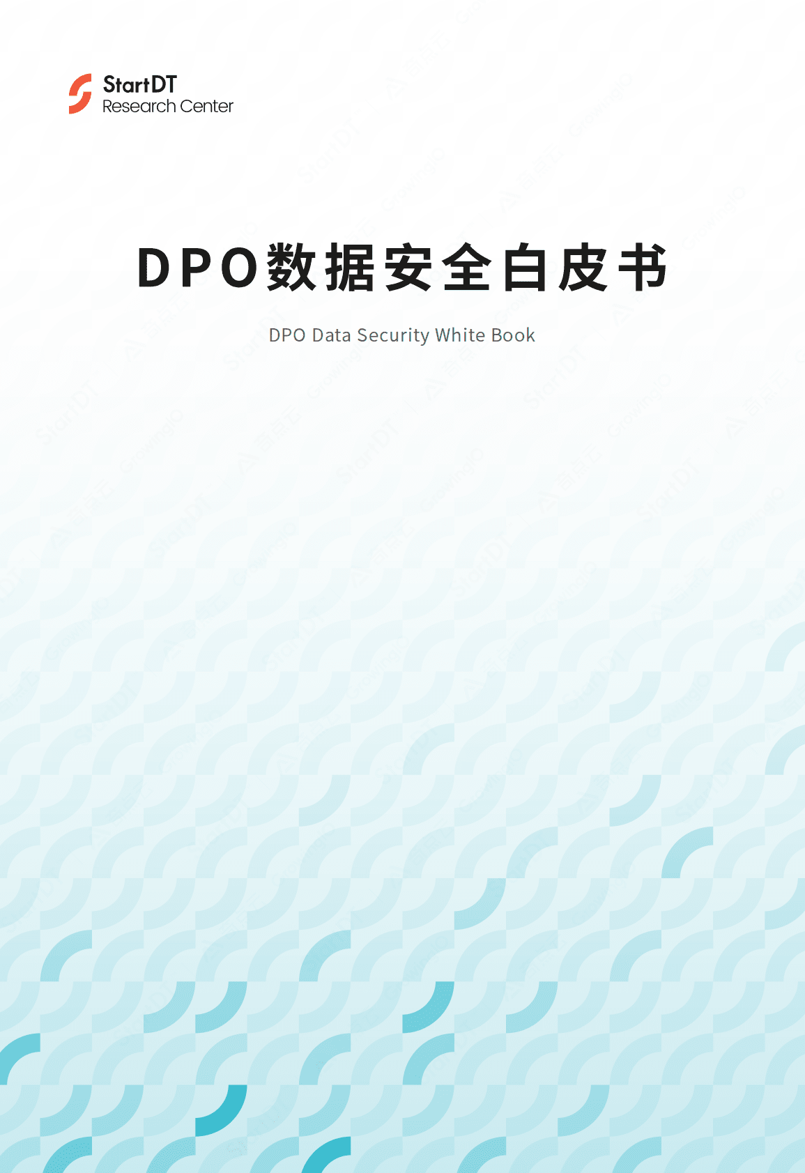 StartDT：DPO数据安全白皮书 第1页