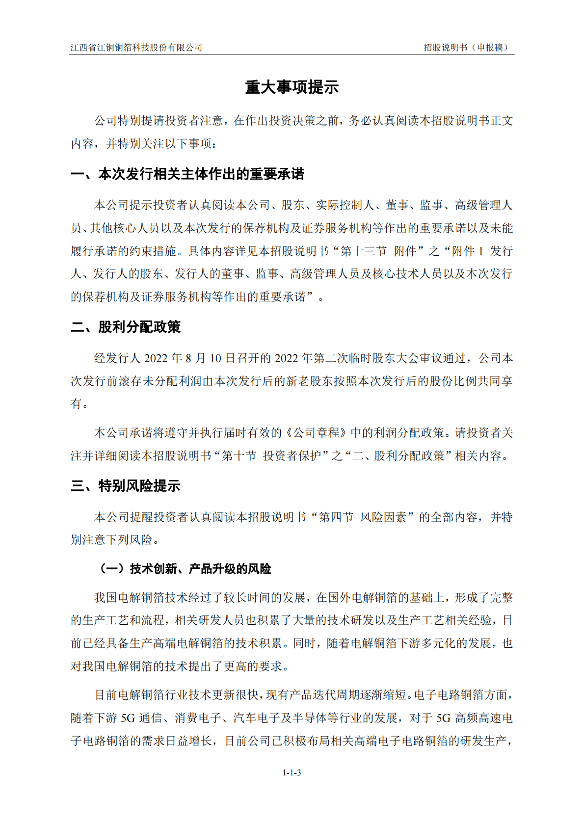 江西省江铜铜箔科技股份有限公司深交所创业板IPO上市招股说明书 第4页