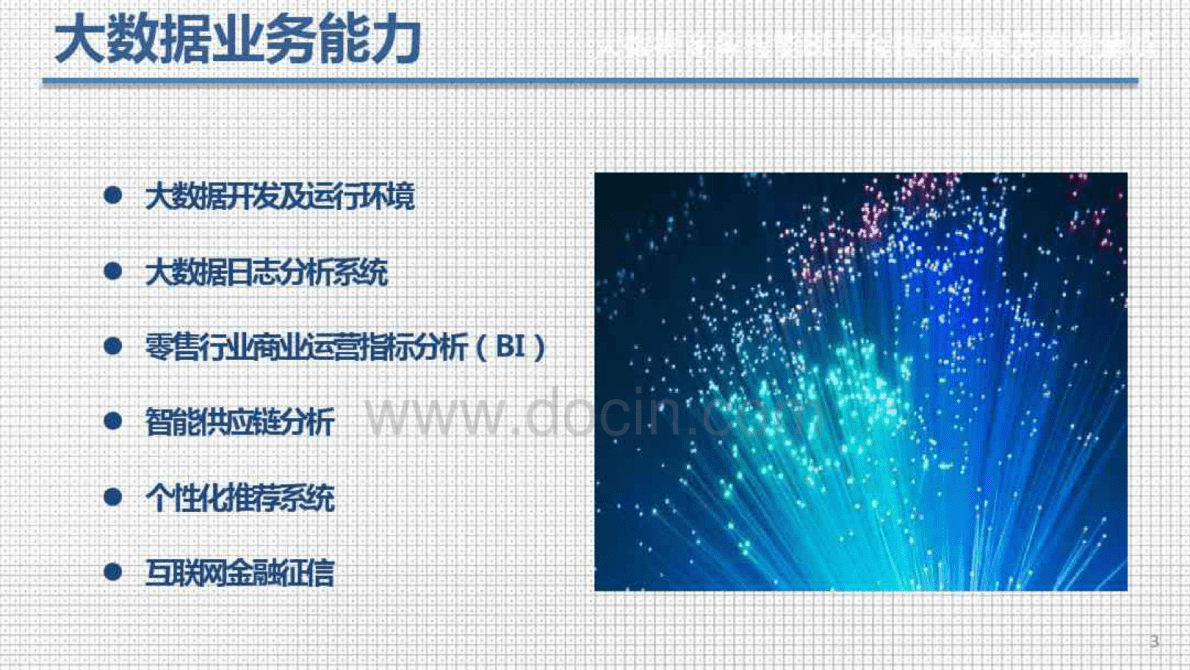 大数据商务智能BI平台技术方案及案例解析 第3页