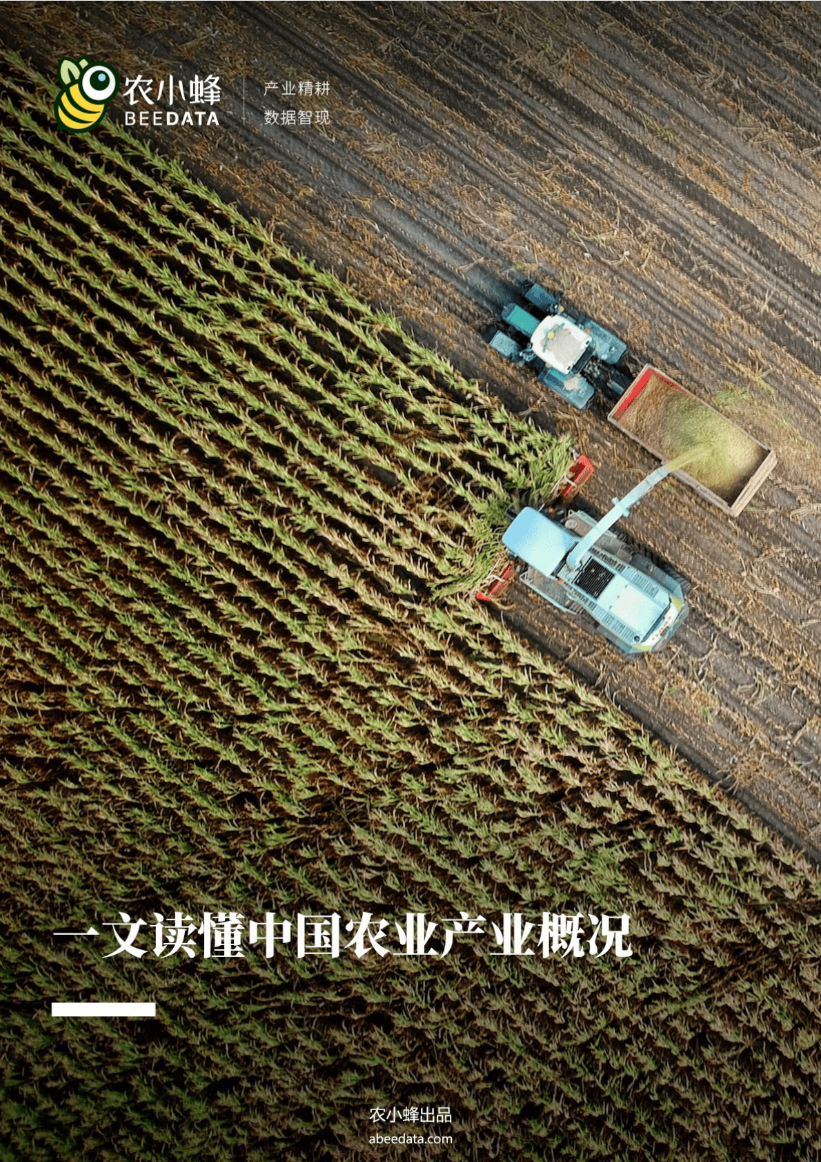农小蜂：一文读懂中国农业产业概况 第1页