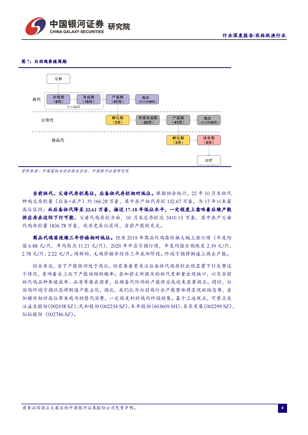 农林牧渔行业2023年度策略报告：把握白鸡周期，关注转基因产业化进程 第6页
