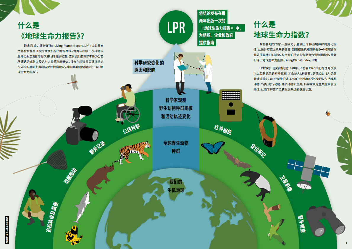 世界自然基金会：地球生命力报告2022青年版 第2页