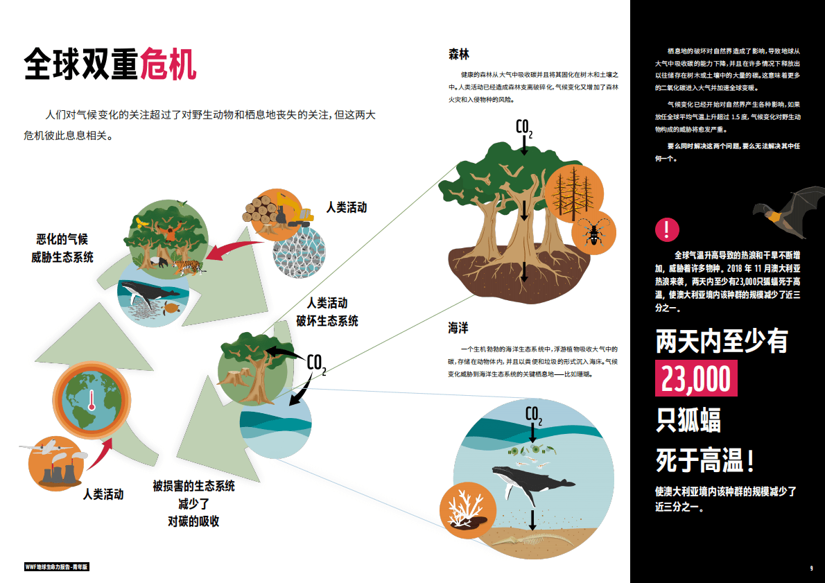 世界自然基金会：地球生命力报告2022青年版 第5页