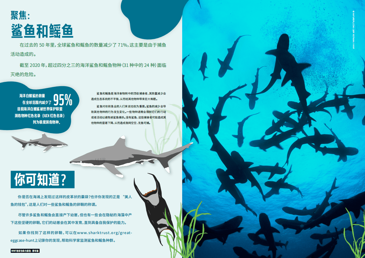 世界自然基金会：地球生命力报告2022青年版 第4页