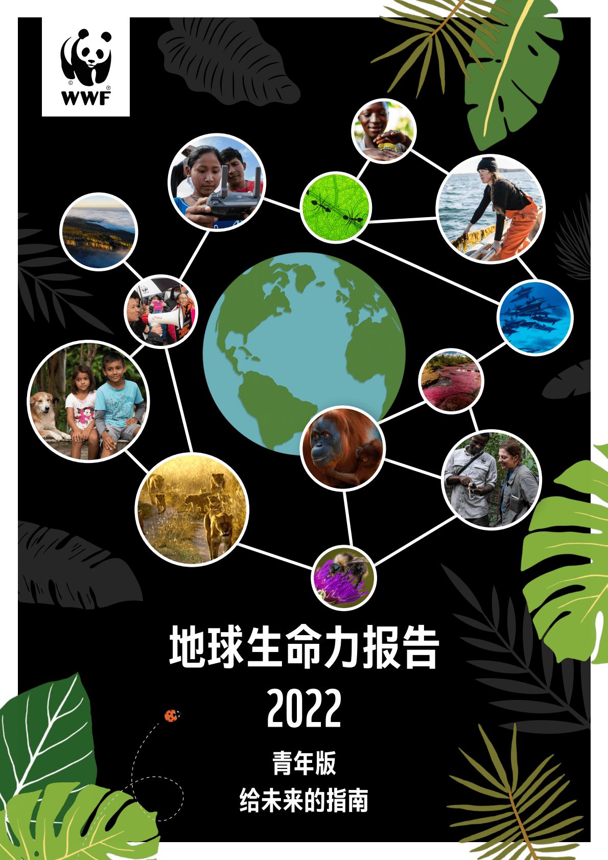 世界自然基金会：地球生命力报告2022青年版 第1页