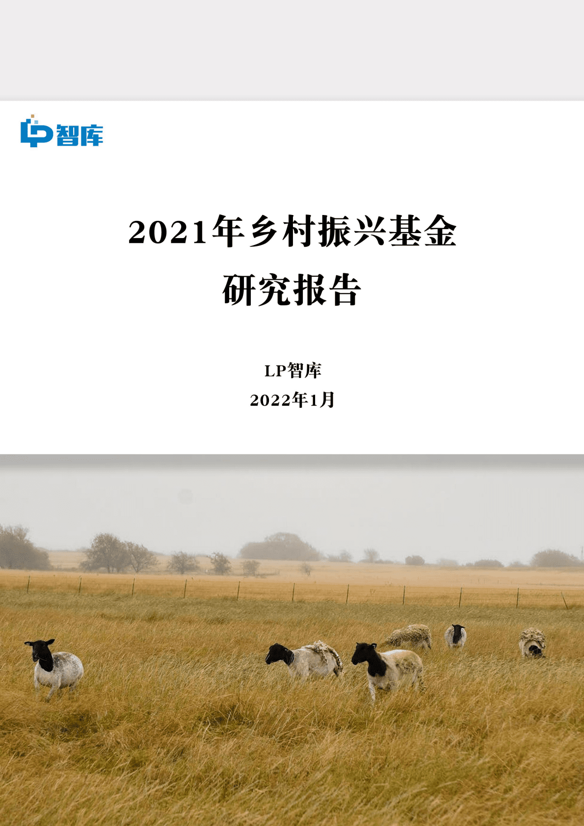 LP智库：2021年乡村振兴基金研究报告 第1页