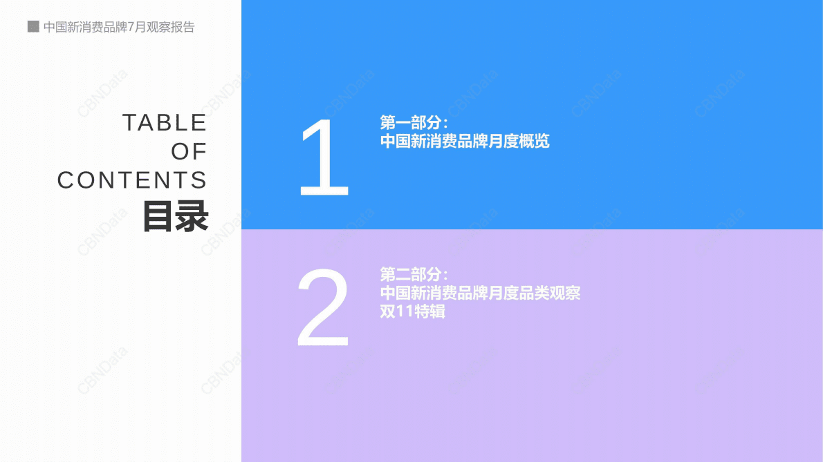 CBNData：中国新消费品牌10月观察报告 第2页