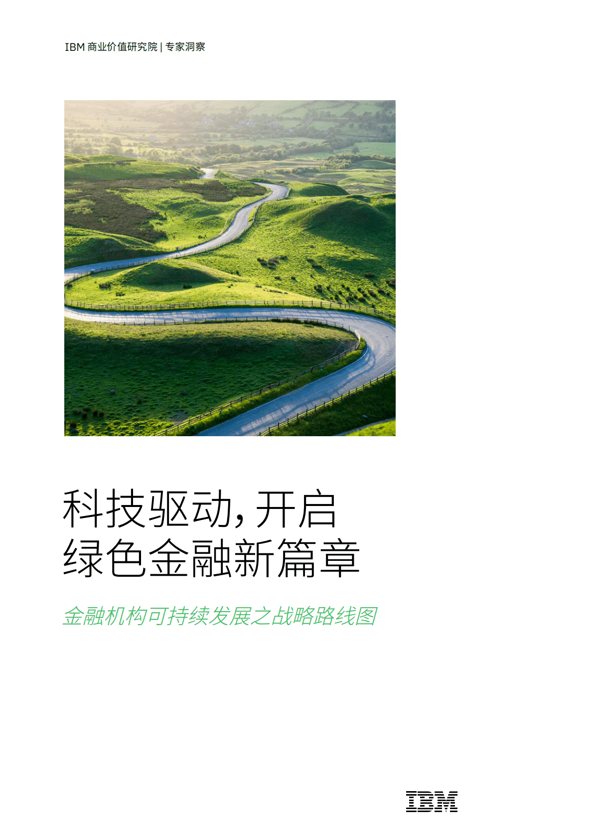 IBM：金融机构可持续发展之战略路线图 第1页