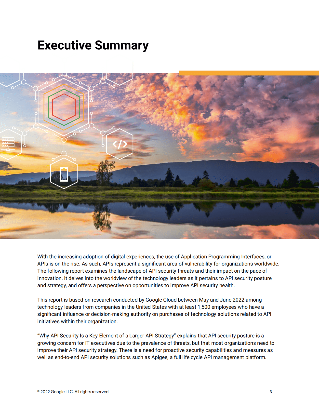 Google：2022年API安全性研究报告 第3页