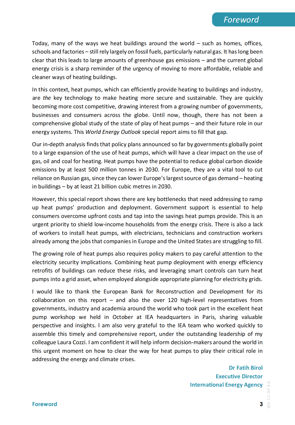 国际可再生能源署：世界能源展望特别报告&mdash;&mdash;热泵的未来【英文版】 第3页
