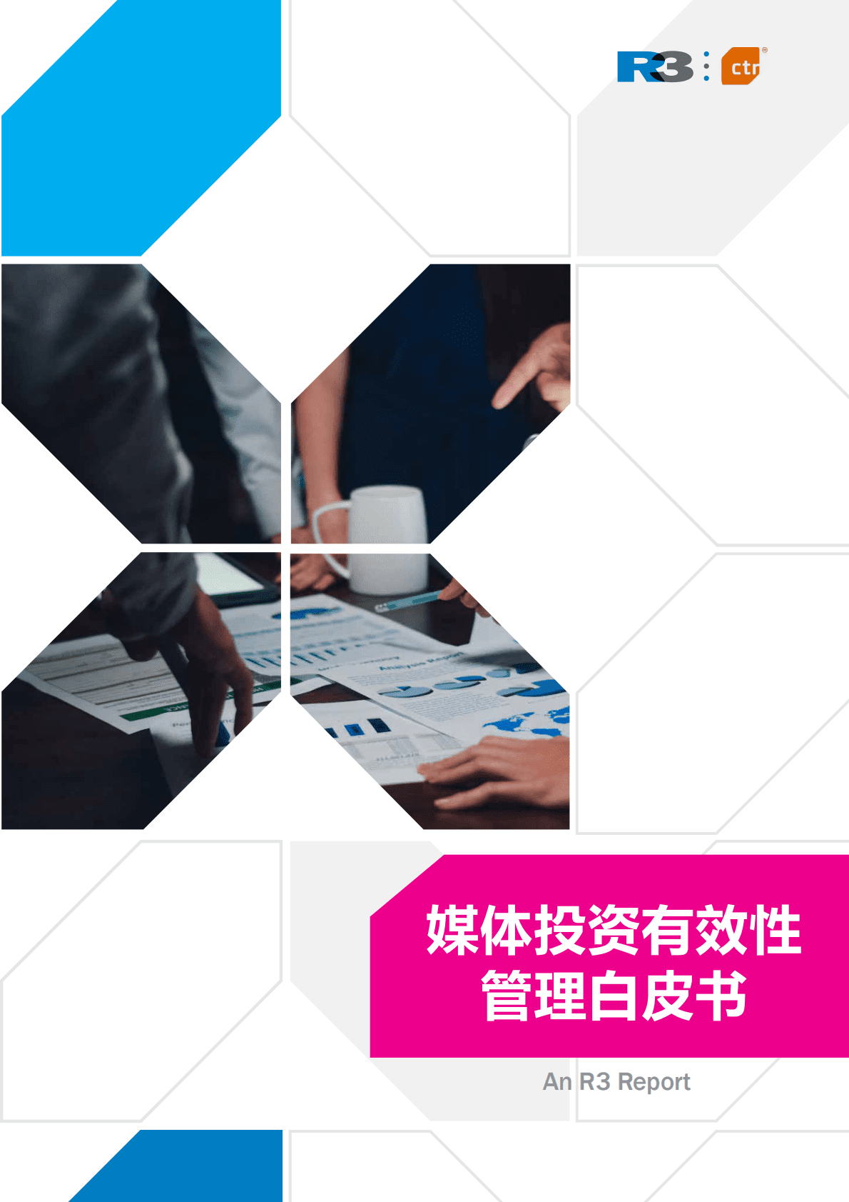 胜三：媒体投资有效性管理白皮书 第1页