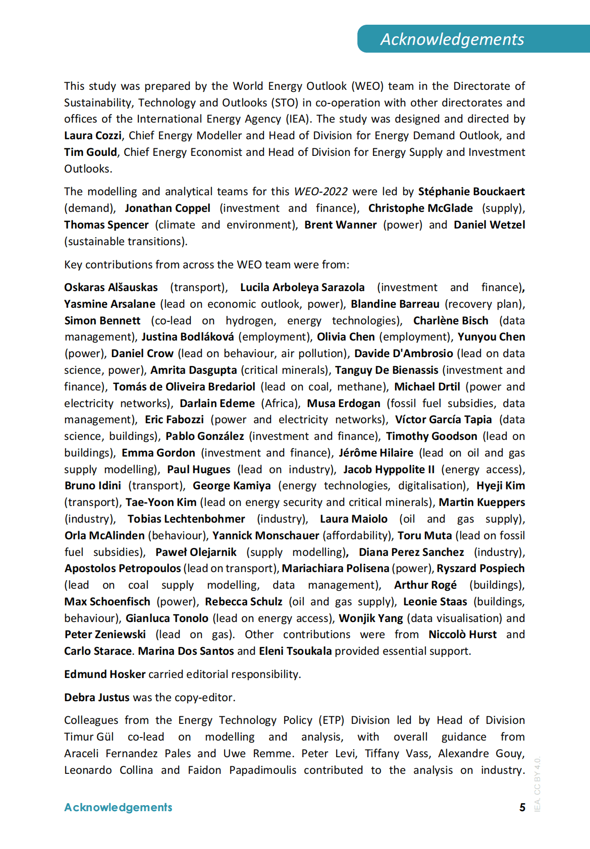 国际能源署：2022年世界能源展望报告【英文版】 第5页