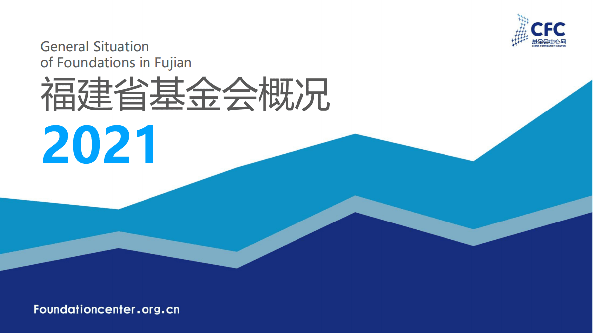 CFC基金会中心网：福建省基金会概况2021 第1页