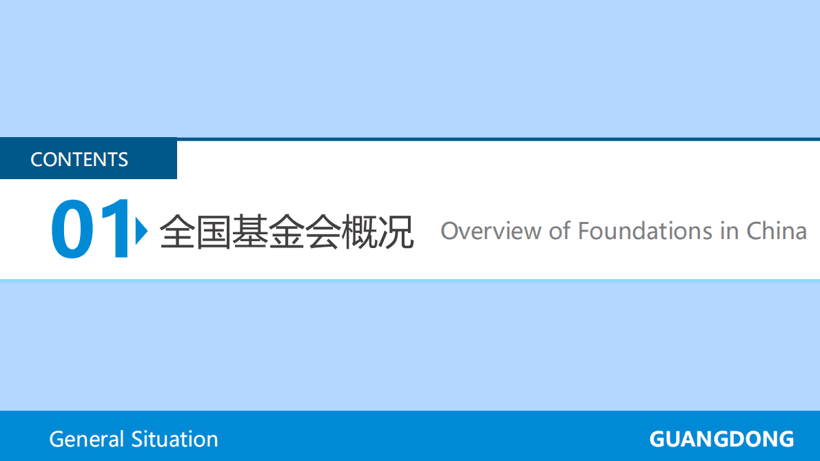 CFC基金会中心网：广东省基金会概况2021 第4页