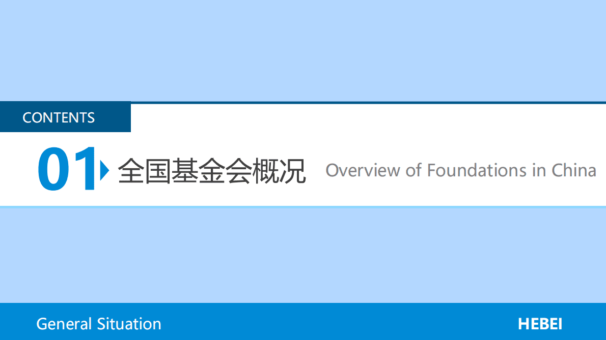 CFC基金会中心网：河北省基金会概况2021 第4页