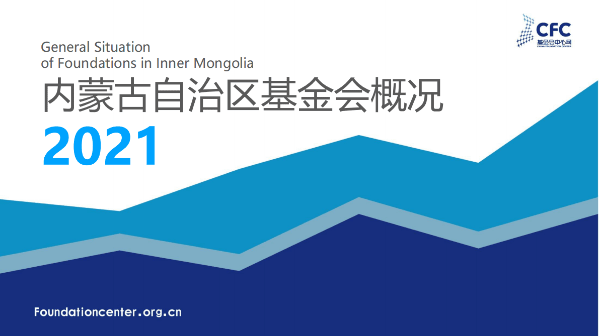 CFC基金会中心网：内蒙古基金会概况2021 第1页