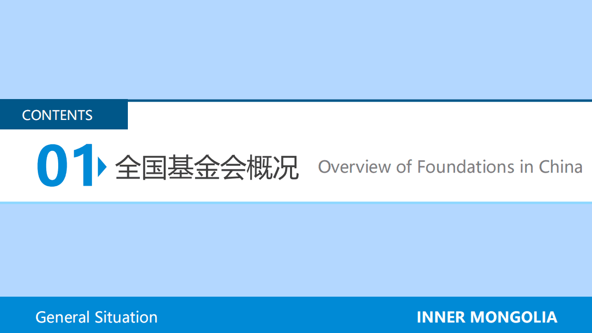 CFC基金会中心网：内蒙古基金会概况2021 第4页
