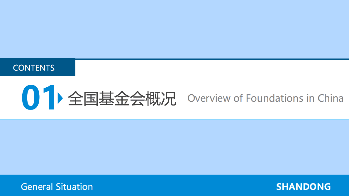 CFC基金会中心网：山东省基金会概况2021 第4页