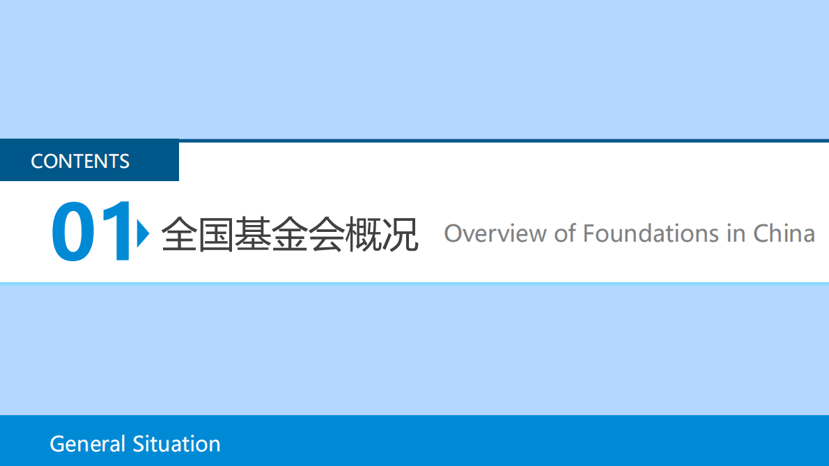 CFC基金会中心网：陕西省基金会概况2021 第4页