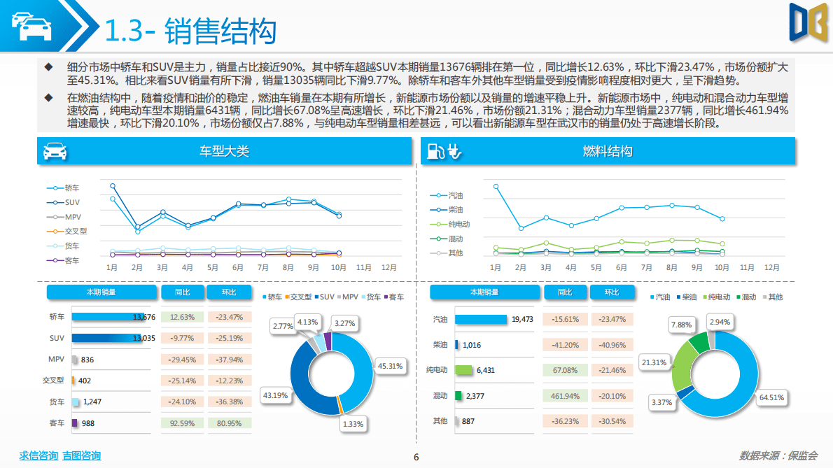 求信咨询：2022-10期武汉市汽车市场分析报告 第6页