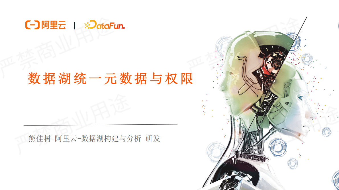 阿里云：数据湖统一元数据与权限 第1页