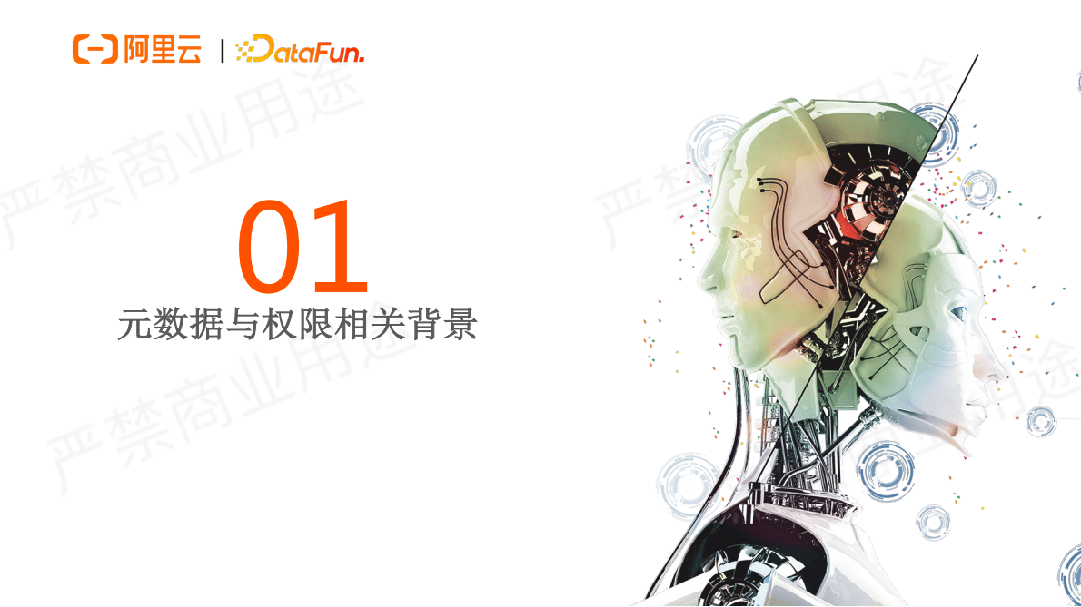 阿里云：数据湖统一元数据与权限 第3页