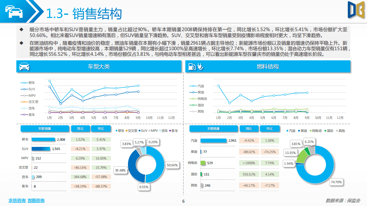 求信咨询：肇庆市汽车市场分析报告-202209期 第6页