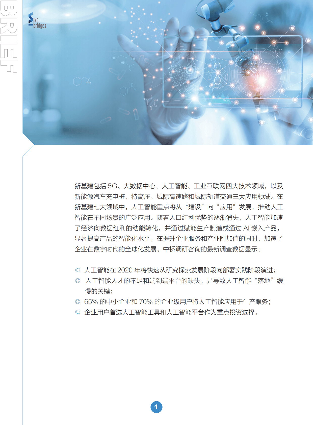 中桥调研：2020年市场和技术趋势研究&mdash;&mdash;人工智能篇 第2页