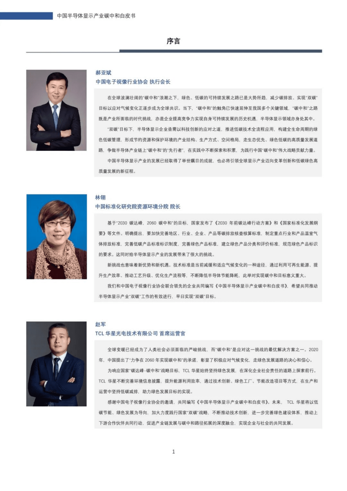 中国电子视像行业协会&TCL华星广电：中国半导体显示产业碳中和白皮书 第2页