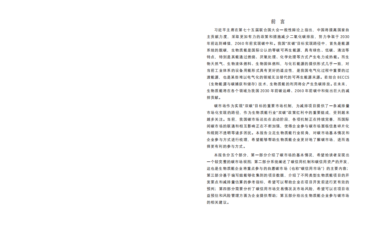 GIZ：生物质能项目参与碳市场研究报告 第2页