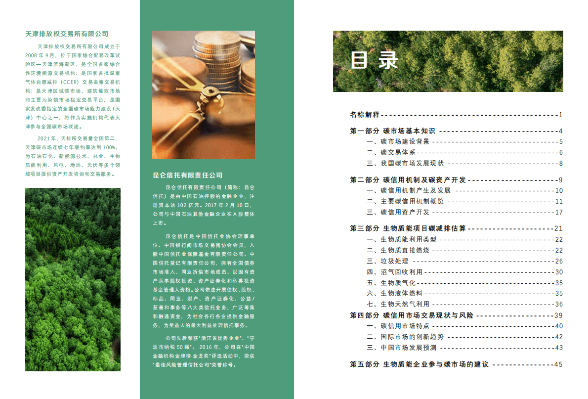 GIZ：生物质能项目参与碳市场研究报告 第4页