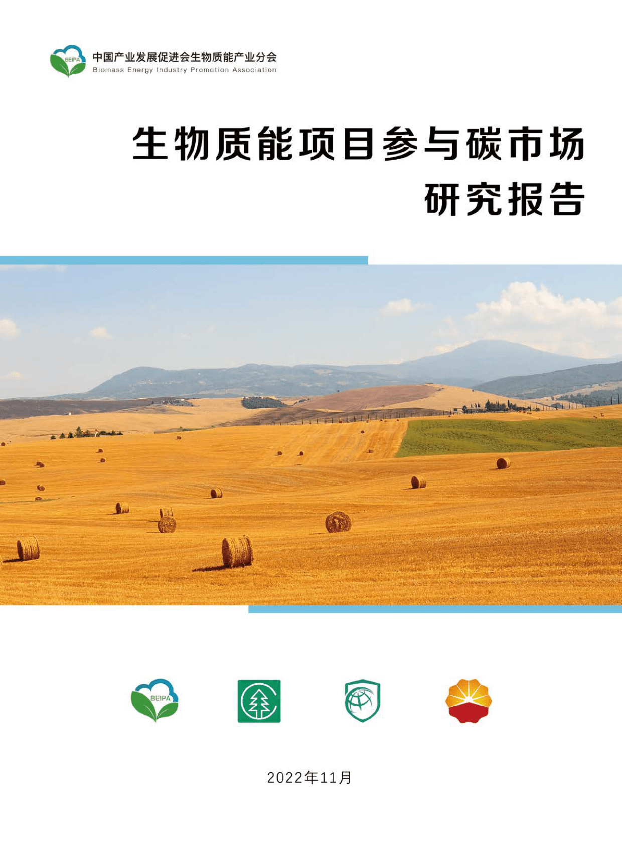 GIZ：生物质能项目参与碳市场研究报告 第1页