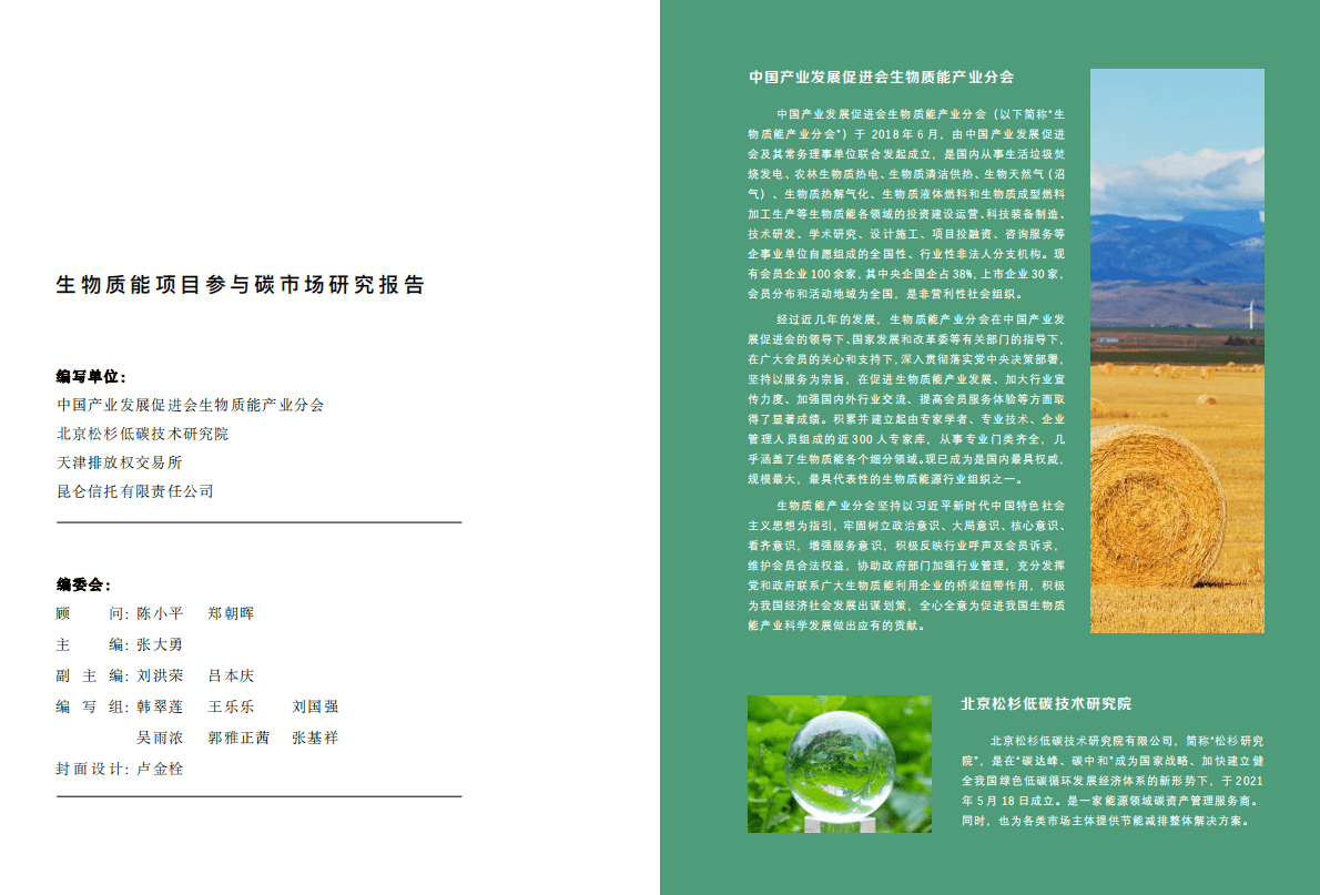 GIZ：生物质能项目参与碳市场研究报告 第3页