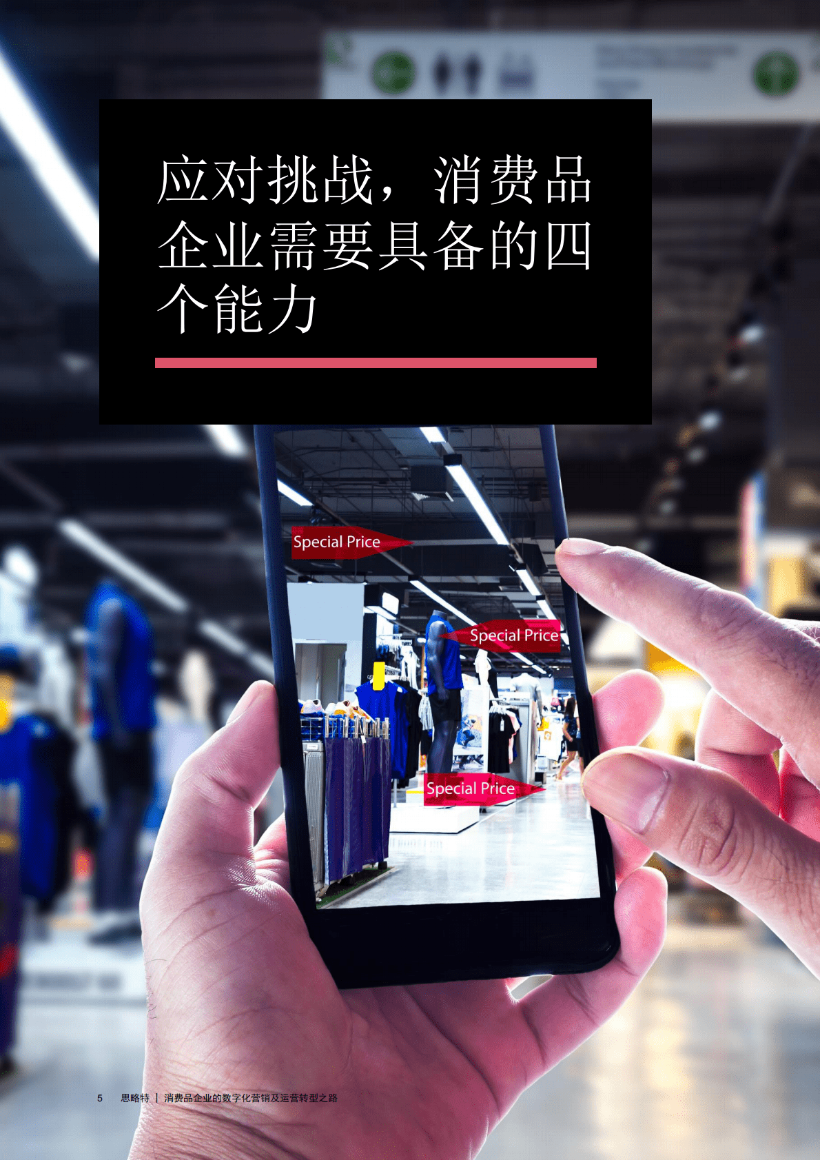 思略特：消费品企业数字化营销及运营新策略 第6页