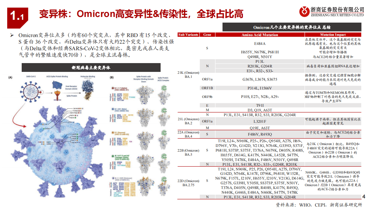 新冠疫苗更新报告：持续迭代，强化&ldquo;第一道防线&rdquo; 第4页