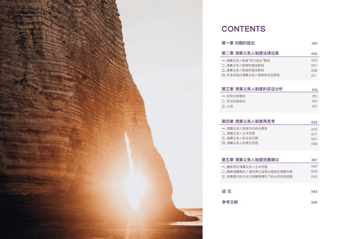 大成Dentons：有限责任公司清算义务人制度 第3页