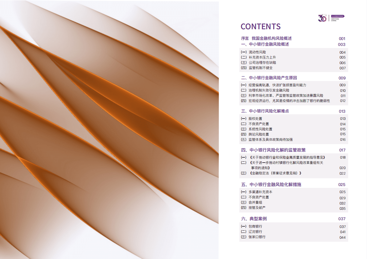 大成Dentons：中小银行金融风险化解 第3页