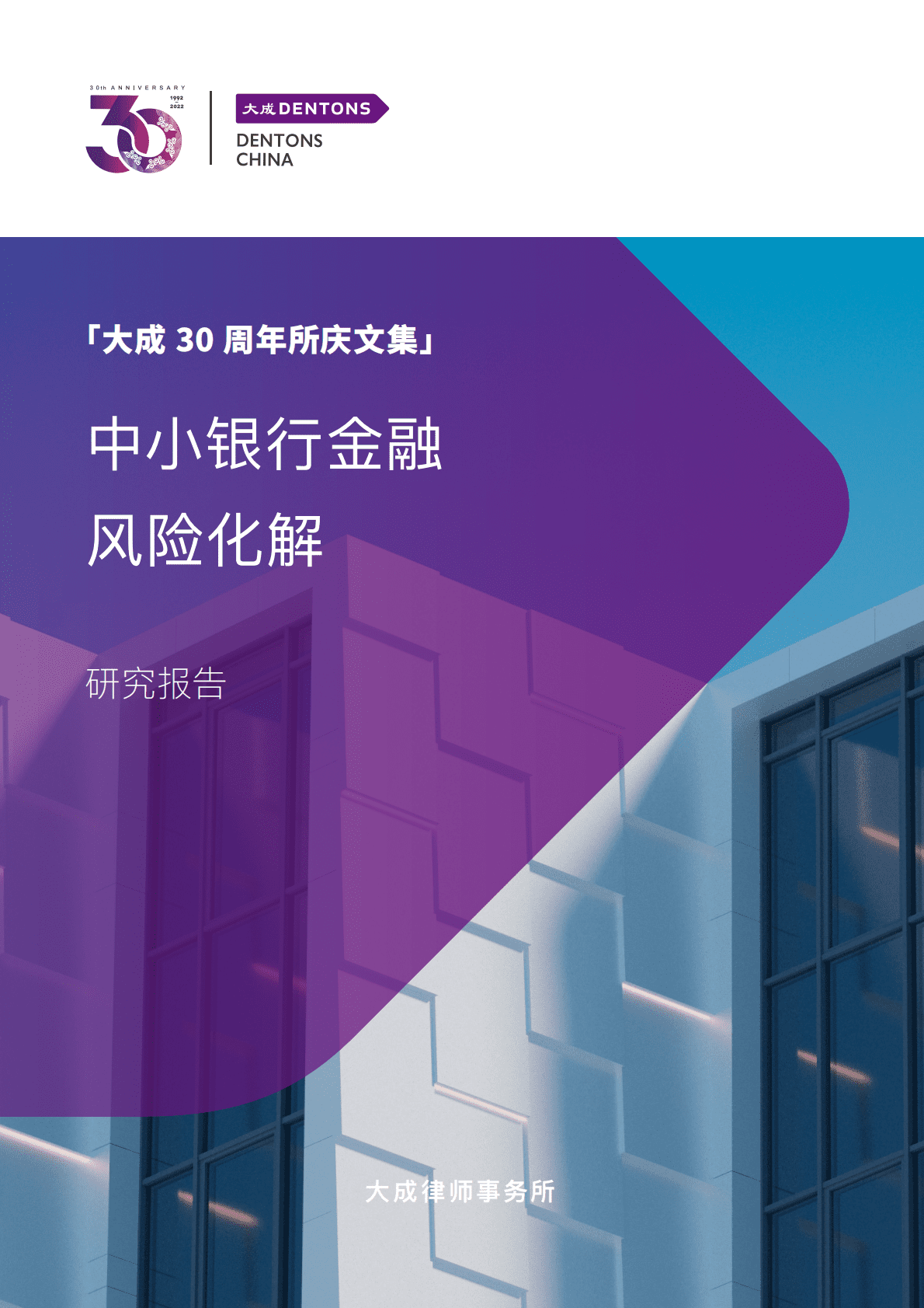 大成Dentons：中小银行金融风险化解 第1页