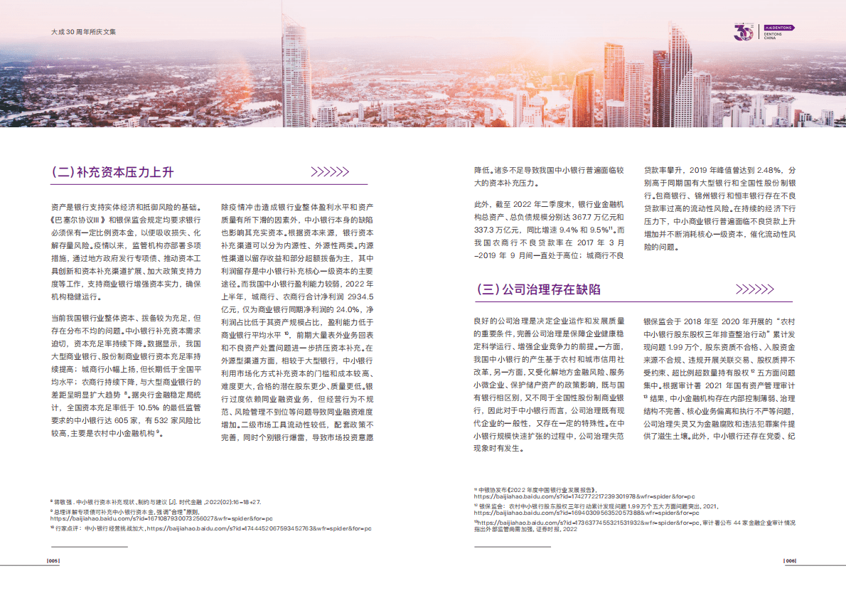 大成Dentons：中小银行金融风险化解 第6页
