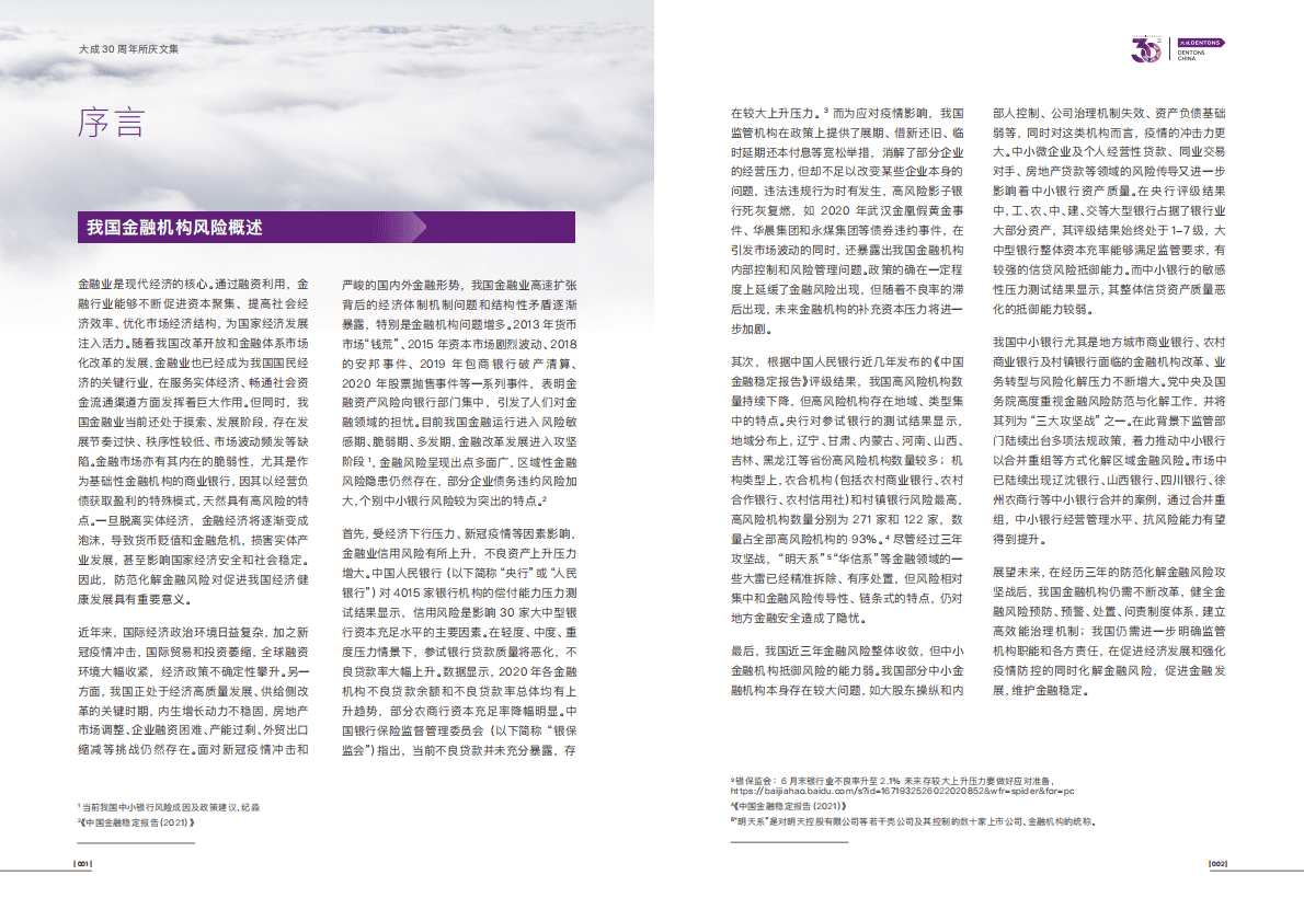大成Dentons：中小银行金融风险化解 第4页