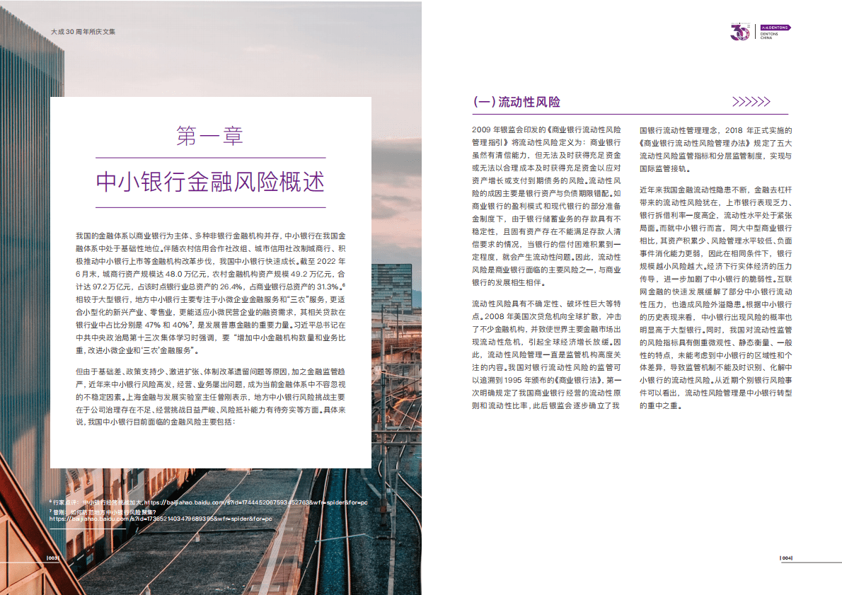 大成Dentons：中小银行金融风险化解 第5页